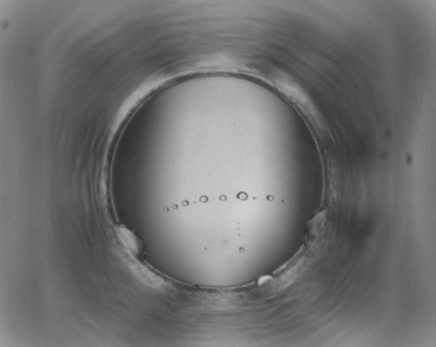 X0000062871288200601131432