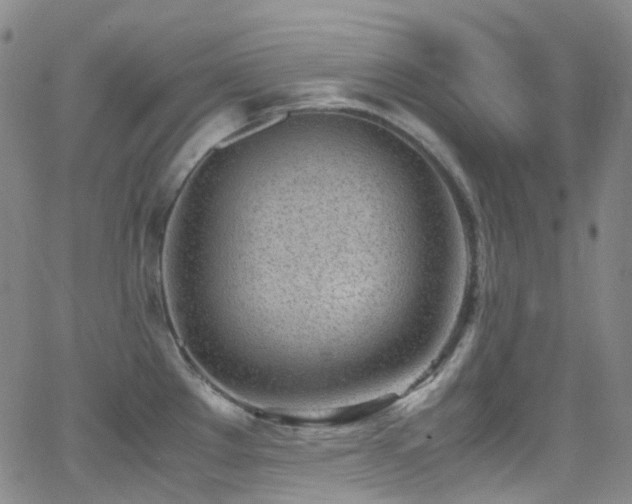 X0000062871289200601131432