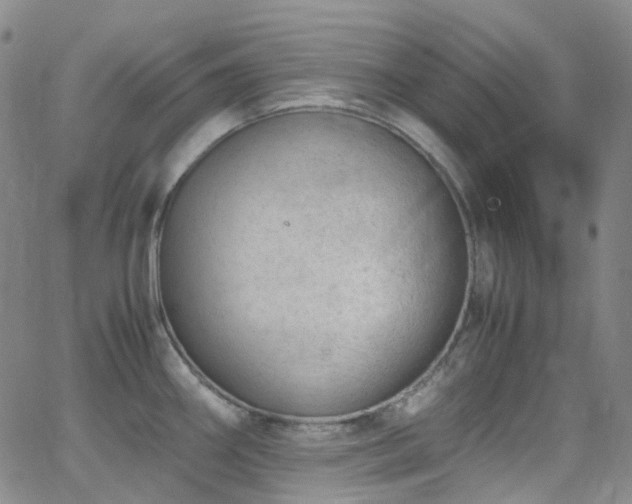 X0000062871290200601131432