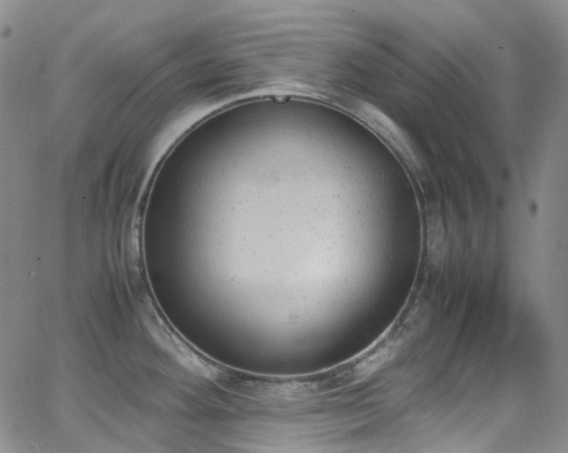 X0000062871292200601131432