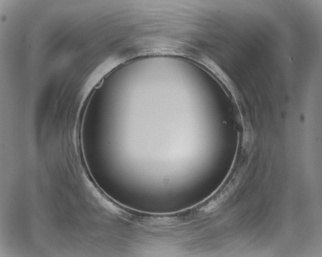 X0000062871293200601131432