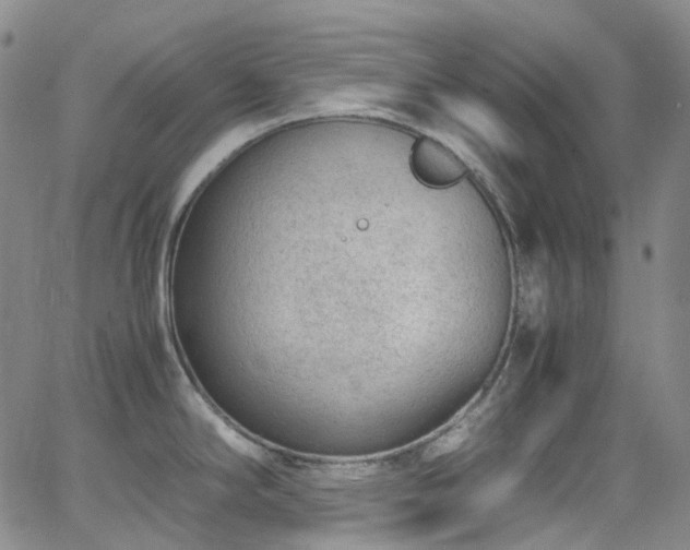 X0000062871294200601131432