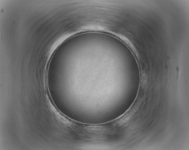 X0000062871295200601131431