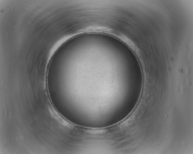 X0000062871296200601131431