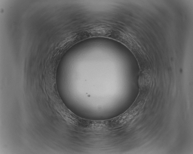 X0000062871297200601131431