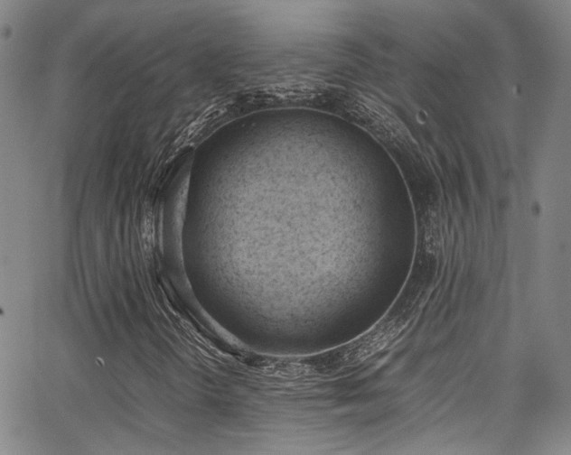 X0000062871298200601131431