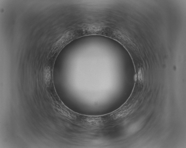 X0000062871299200601131431