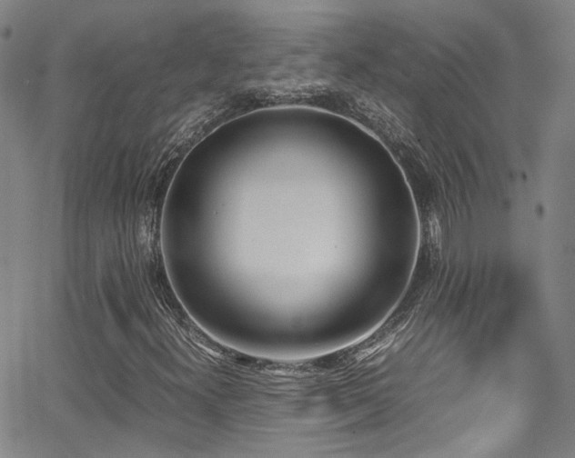 X0000062871300200601131431