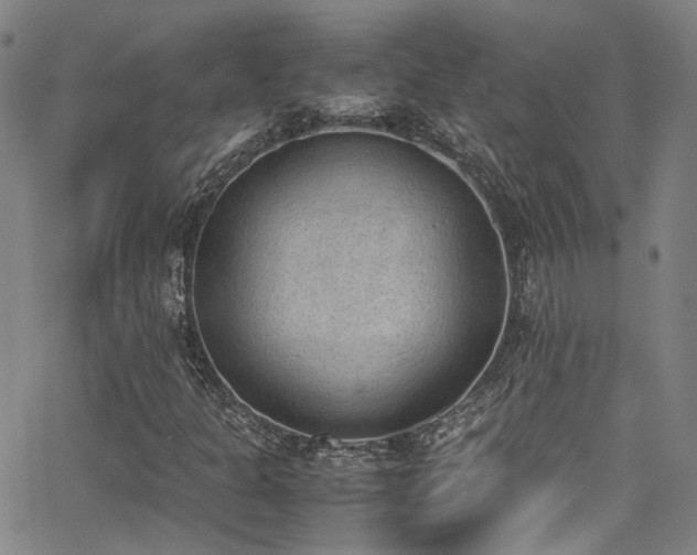 X0000062871301200601131431