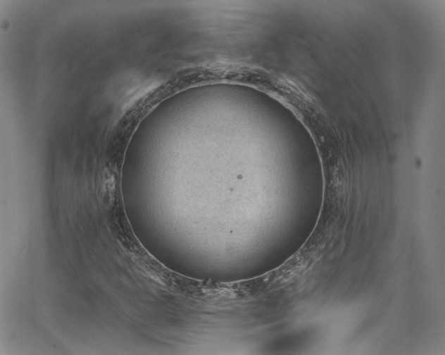 X0000062871302200601131431