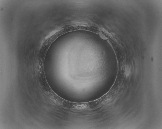 X0000062871303200601131431