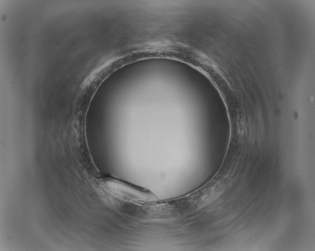 X0000062871304200601131431