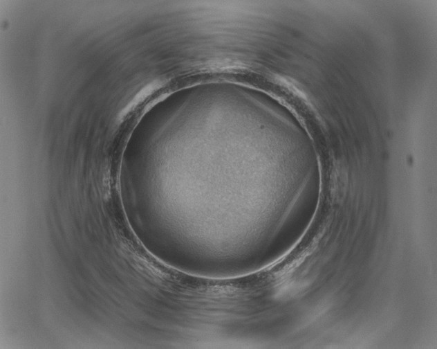 X0000062871306200601131431