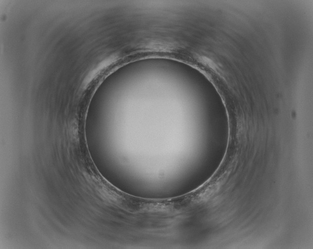 X0000062871307200601131431