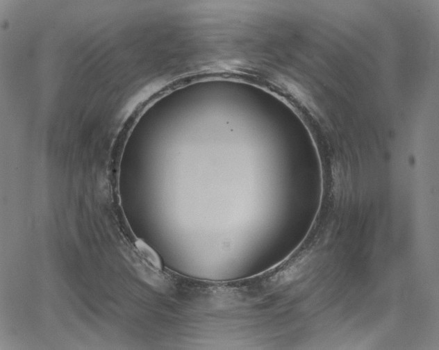 X0000062871308200601131431