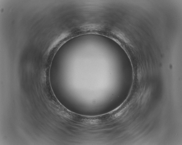 X0000062871309200601131431