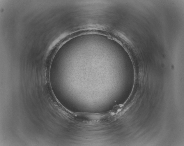 X0000062871310200601131431