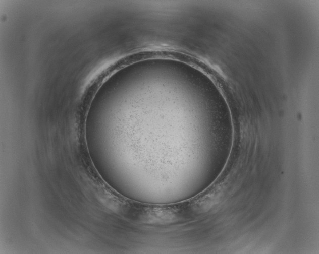 X0000062871311200601131431