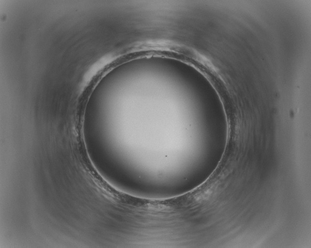 X0000062871312200601131431