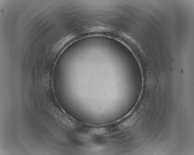 X0000062871313200601131431