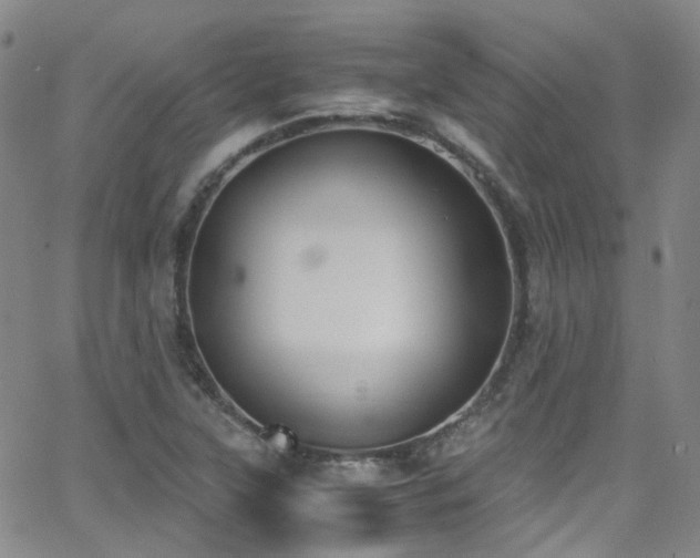 X0000062871315200601131431