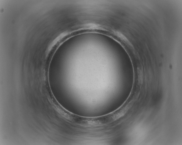 X0000062871318200601131431