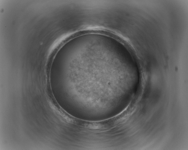 X0000062871319200601131431