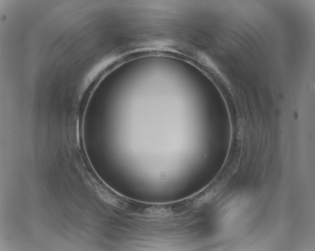 X0000062871320200601131431