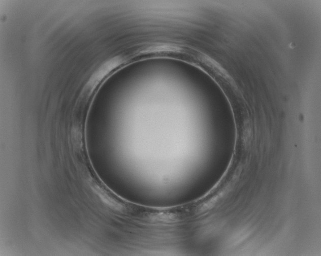 X0000062871321200601131431