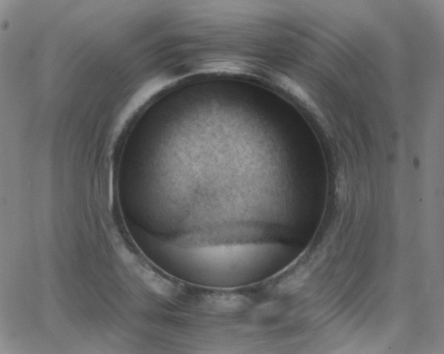 X0000062871323200601131431