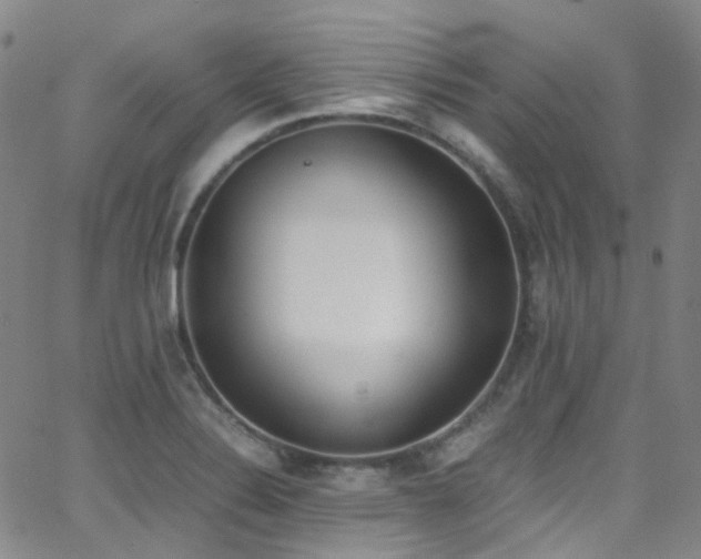 X0000062871324200601131431