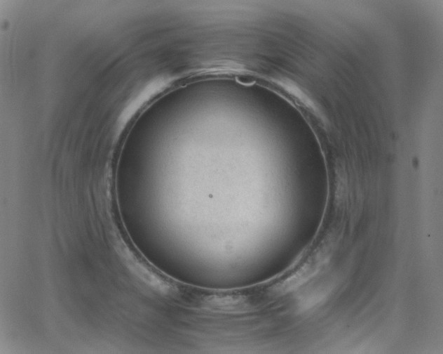 X0000062871325200601131431