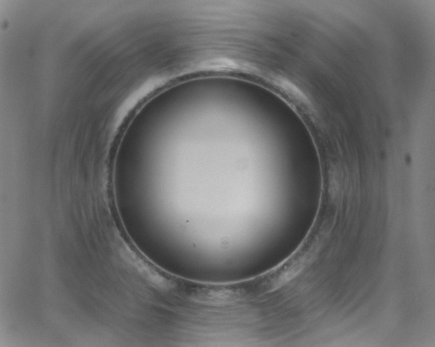 X0000062871326200601131431