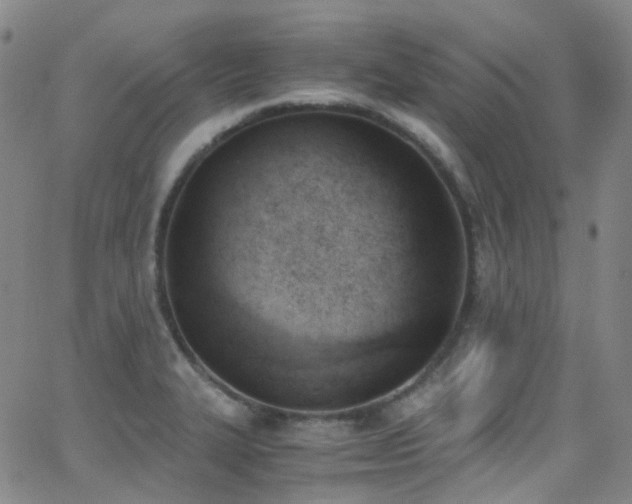 X0000062871327200601131431