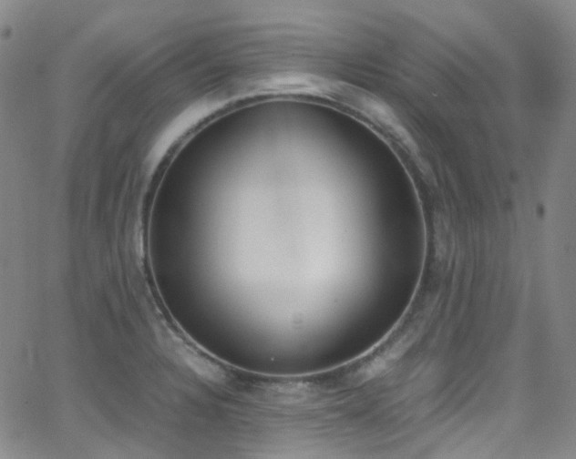 X0000062871328200601131431