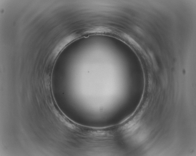 X0000062871329200601131431