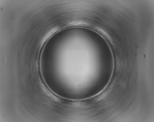 X0000062871330200601131431