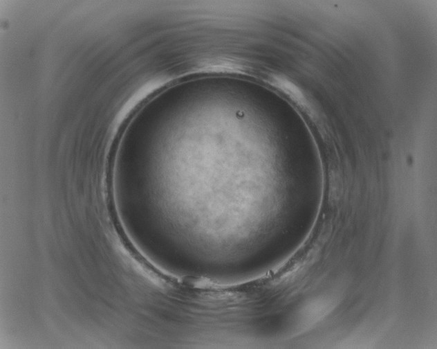 X0000062871331200601131431