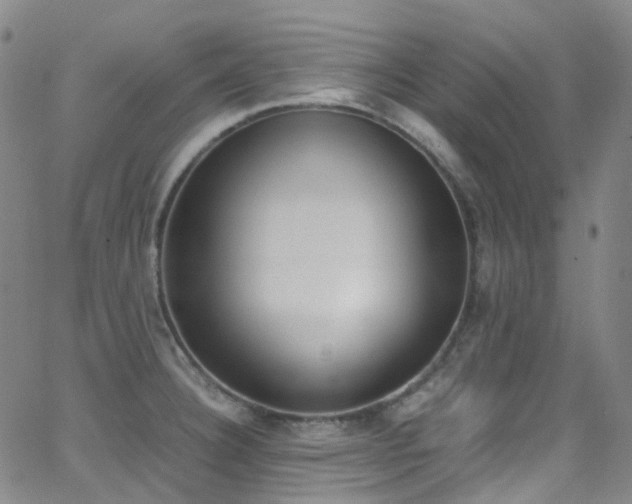 X0000062871332200601131431