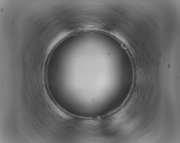 X0000062871333200601131431