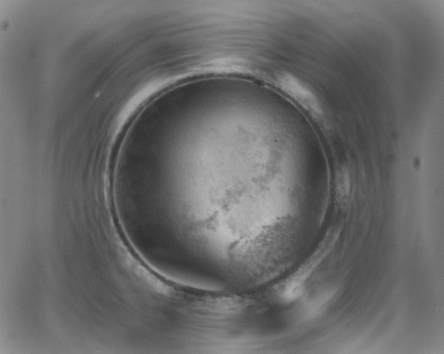 X0000062871334200601131431