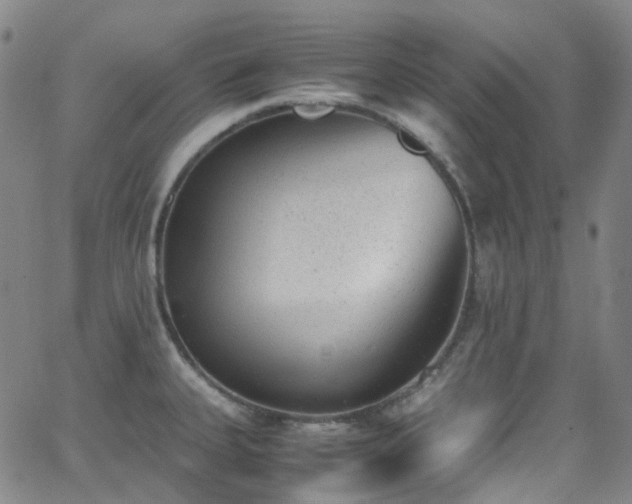 X0000062871335200601131431