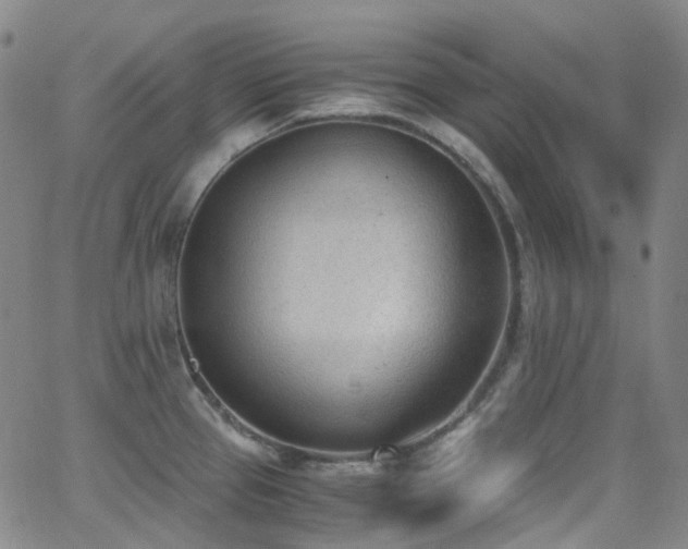 X0000062871337200601131431