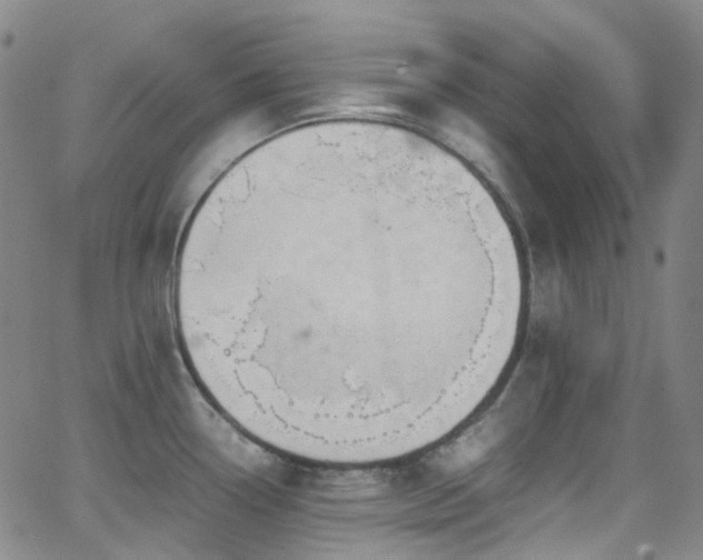 X0000062871338200601131431