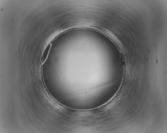 X0000062871340200601131431