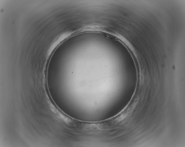 X0000062871341200601131431