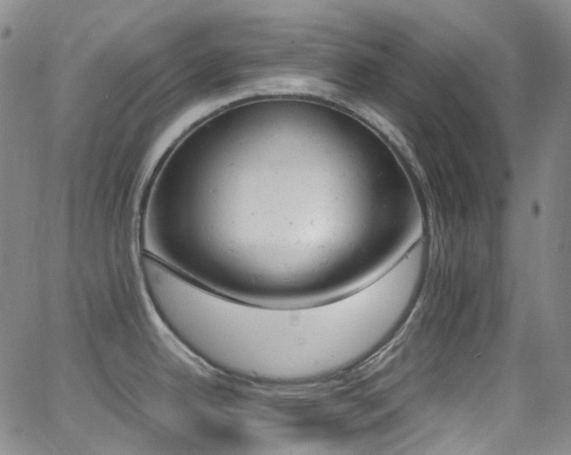 X0000062871342200601131431