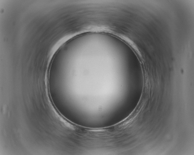 X0000062871343200601131431