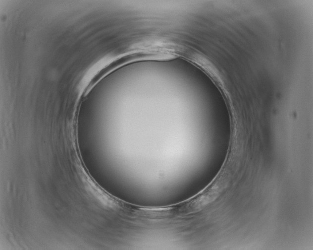 X0000062871344200601131431