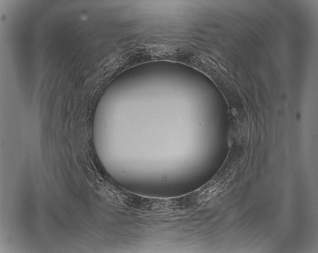 X0000062871345200601131431